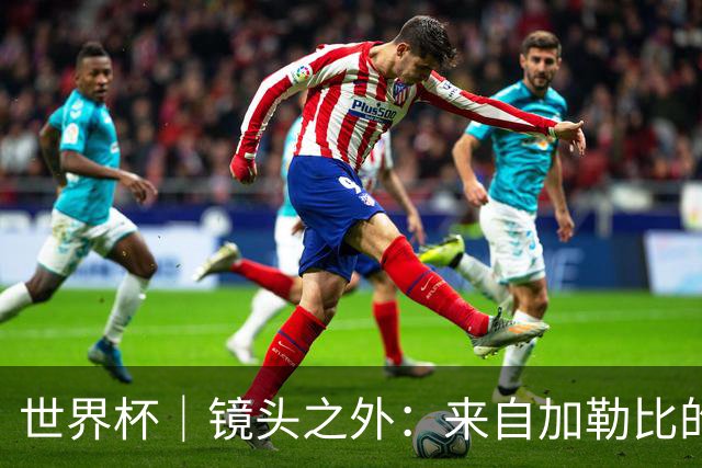 世界杯｜镜头之外：来自加勒比的蓝色海浪——库拉索